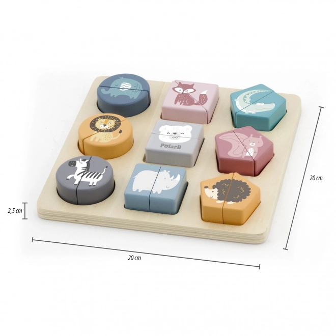Shape Puzzle PolarB
