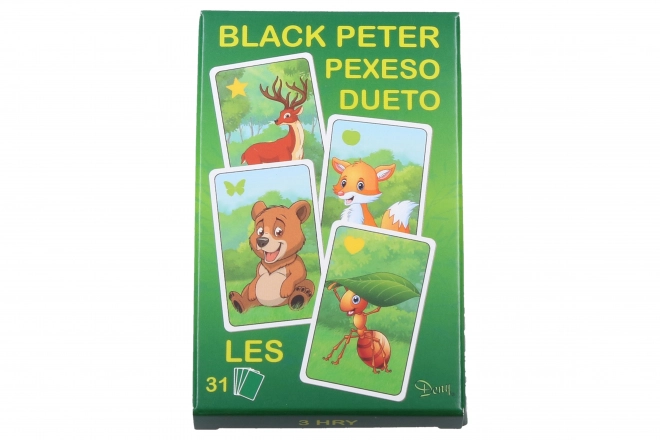 Pierre noir forêt