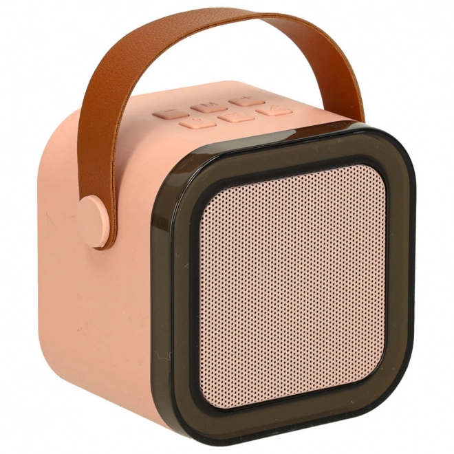 Ensemble karaoké 2 microphones + haut-parleur portable BLUETOOTH USB LED rose