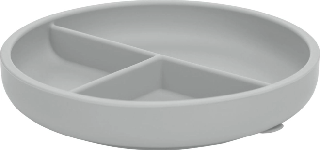 Silicone Plate Grey