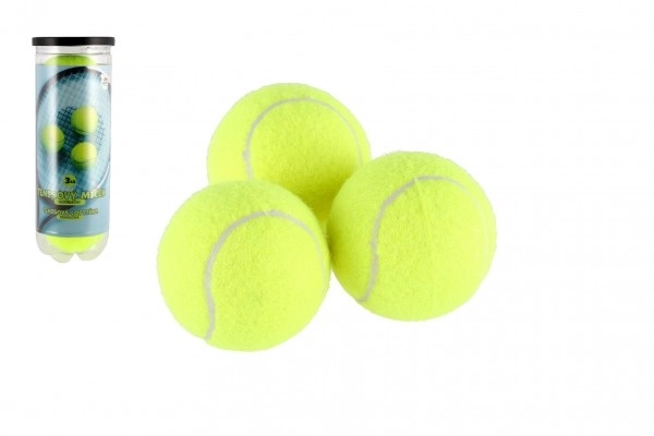 Ballons de tennis récréatif