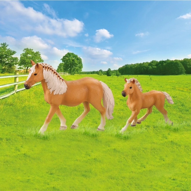 Set van twee paarden met omheining