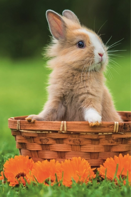 Trefl puzzel Schattige Dieren: konijntje in mandje 54 stukjes