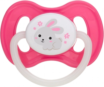 Canpol babies sucette en caoutchouc forme cerise BUNNY & COMPANY 0–6 mois, rose