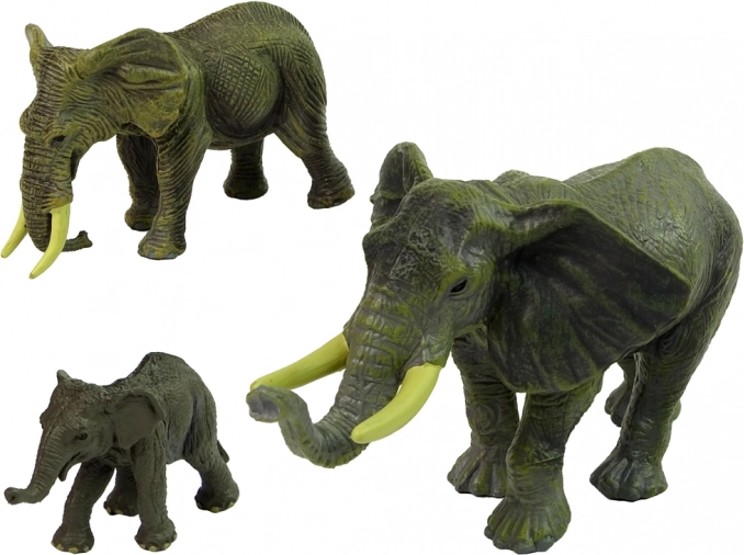 Realistic elephants with detailed texture