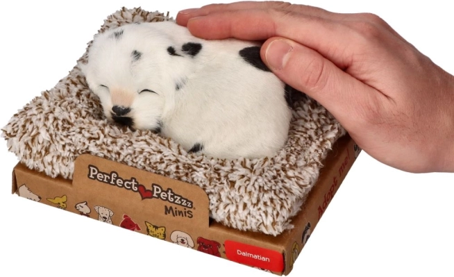 Barking Dalmatian on a Bed