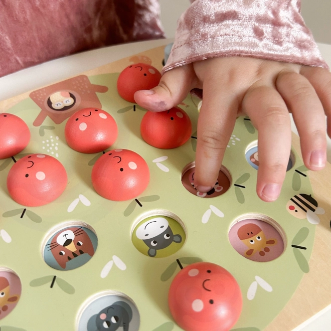 Tooky Toy geheugenspel Appeltjes