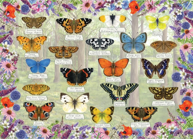 Puzzle Magnifiques Papillons 1000 pièces