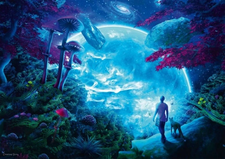 Schmidt Puzzle Heavenly Sky 1000 pieces