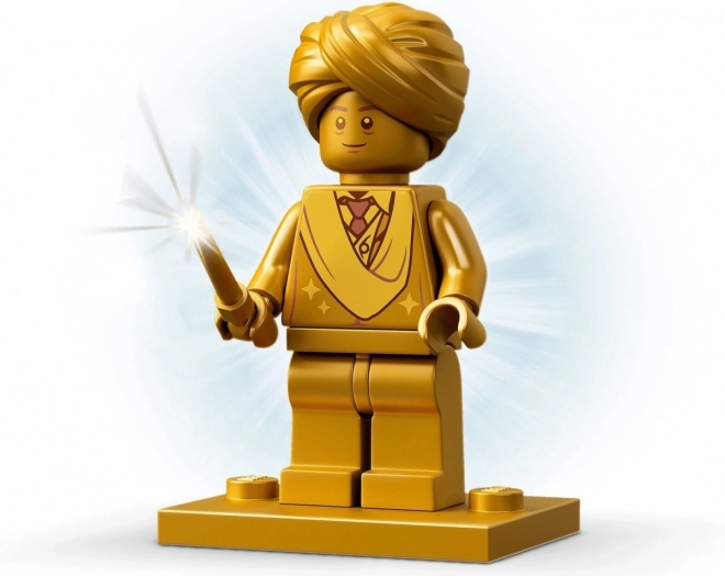 Lego Harry Potter 76395 Première leçon de vol