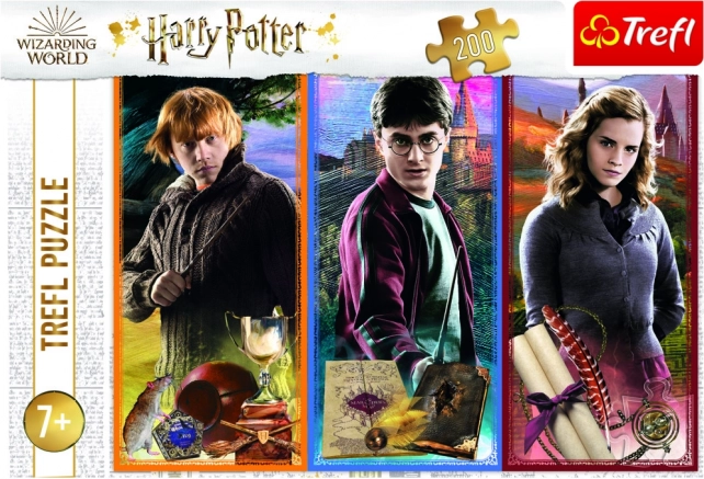 Offizielles HARRY POTTER Motiv von Trefl