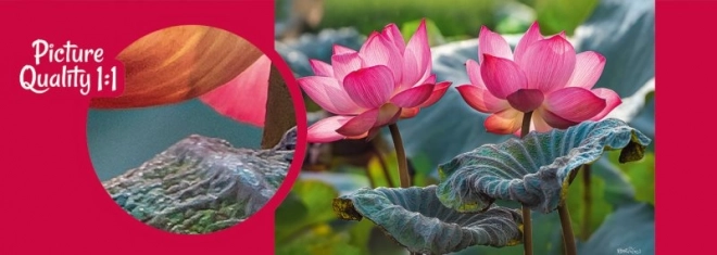 Puzzle Pink Lotus Flowers 500 Pieces