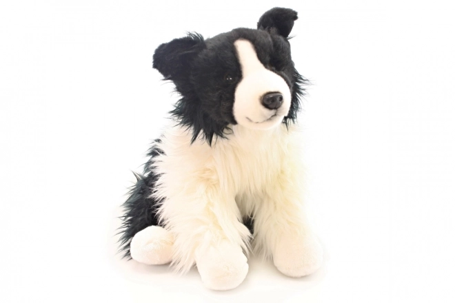 Pluchen Border Collie 35 cm
