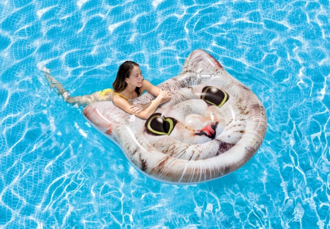Inflatable Mattress with Cat Design