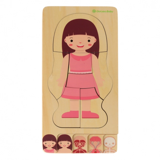 Educational Wooden Body Construction Puzzle Montessori for Girls