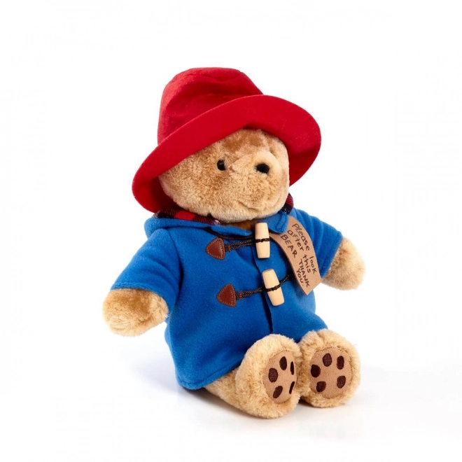 Regenboog Pluche Paddington middelgroot