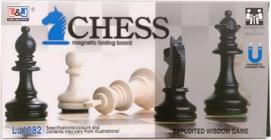 Magnetische schaakset