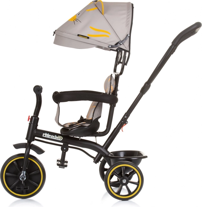 Driewieler met afneembare luifel voor kinderen 2-in-1 Pulse Chipolino
