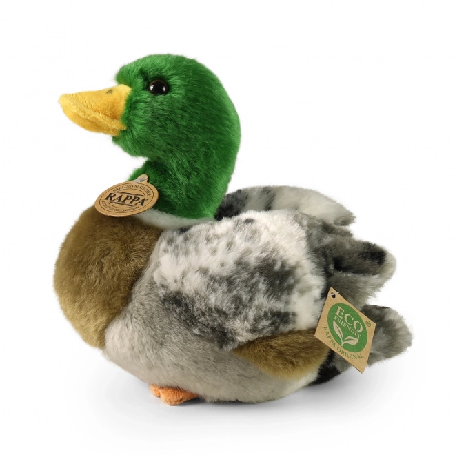 Pluchen wilde eend milieuvriendelijk