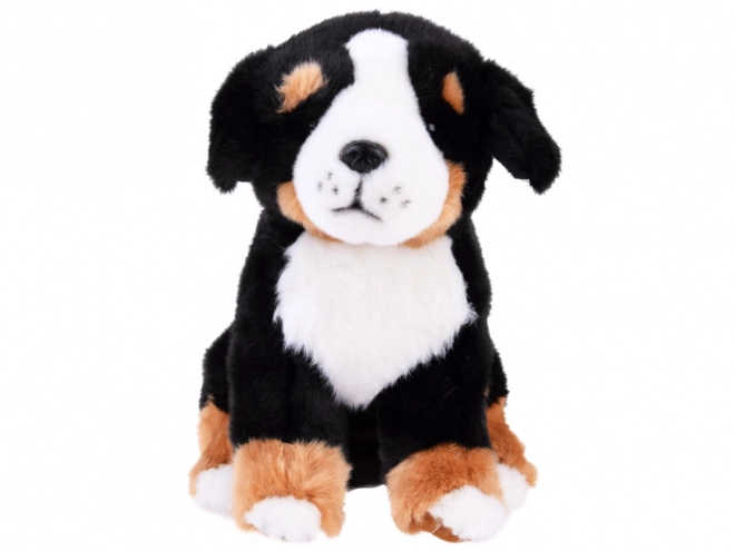 Doux et câlin