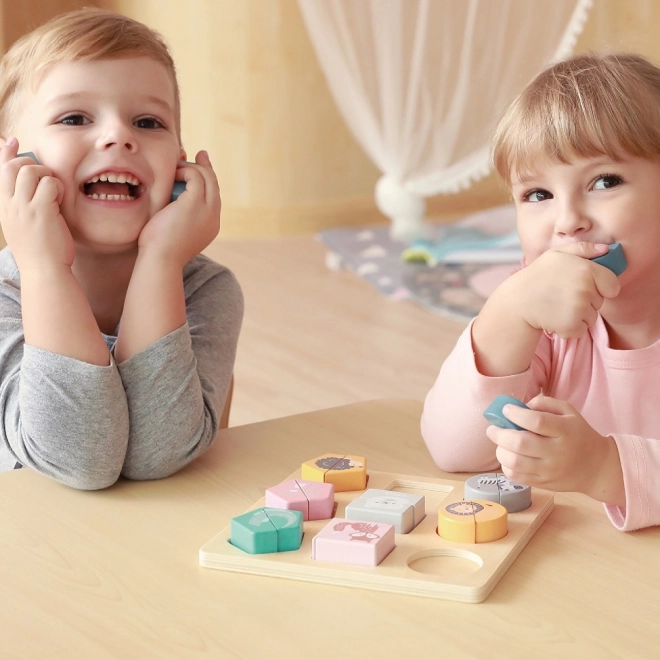 Shape Puzzle PolarB