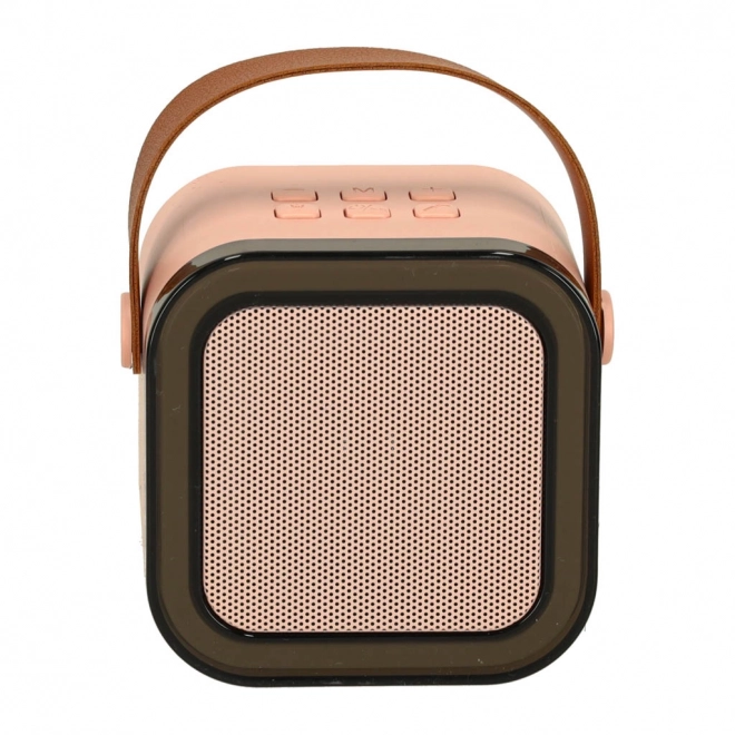 Karaoke Set with Bluetooth Speaker and Microphone Pink