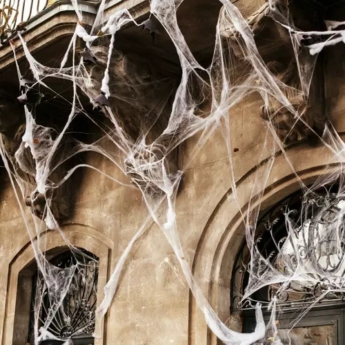 Halloween kunstmatige spinnenweb met spinnen