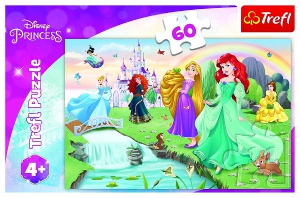 Puzzel Ontmoet de prinsessen 33x22cm 60 stukjes in doos 21x14x4cm