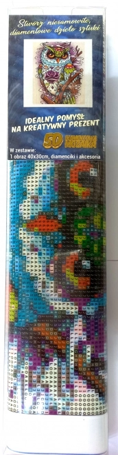 Diamantmalereiset Weisheit Eule 30x40 cm