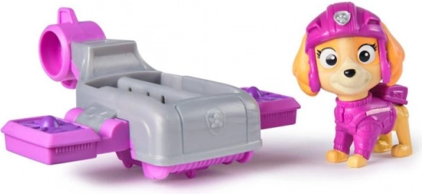 Paw Patrol Skye with Hovercraft