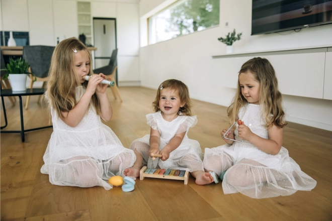 Set van kindermuziekinstrumenten