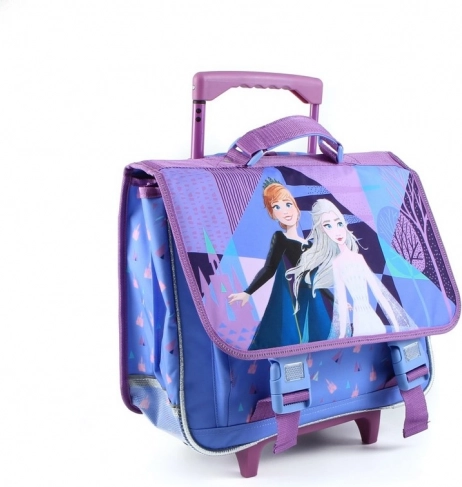 Motif FROZEN attrayant