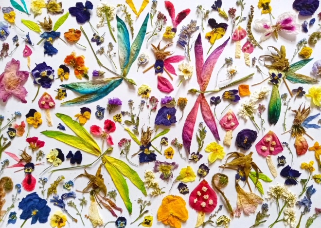Puzzle Feen und Libellen 1000 Teile