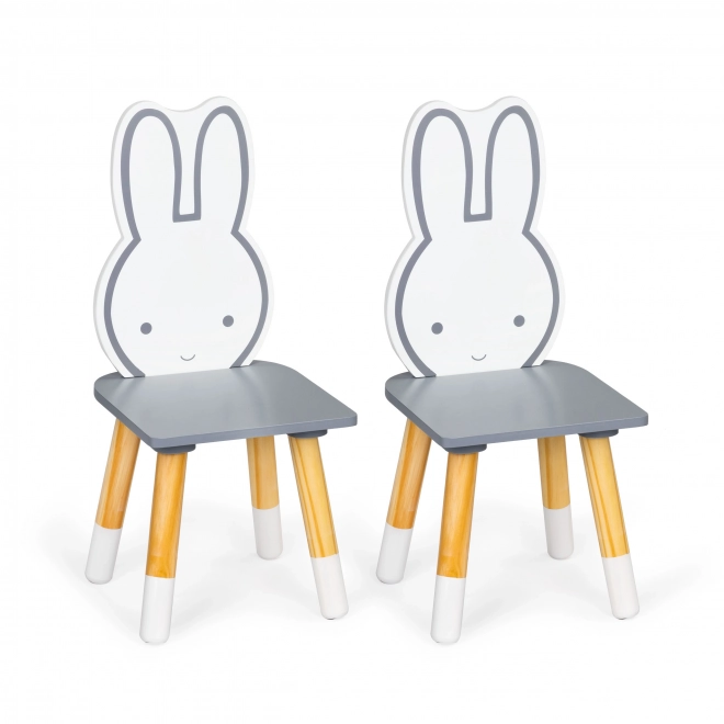 Kinder tafel met twee stoelen set meubelen Ecotoys