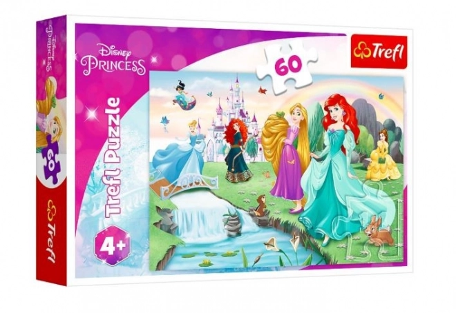 Puzzel Ontmoet de prinsessen 33x22cm 60 stukjes in doos 21x14x4cm
