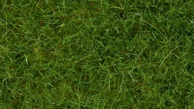 Statistisch gras wild lichtgroen 6 mm Noch