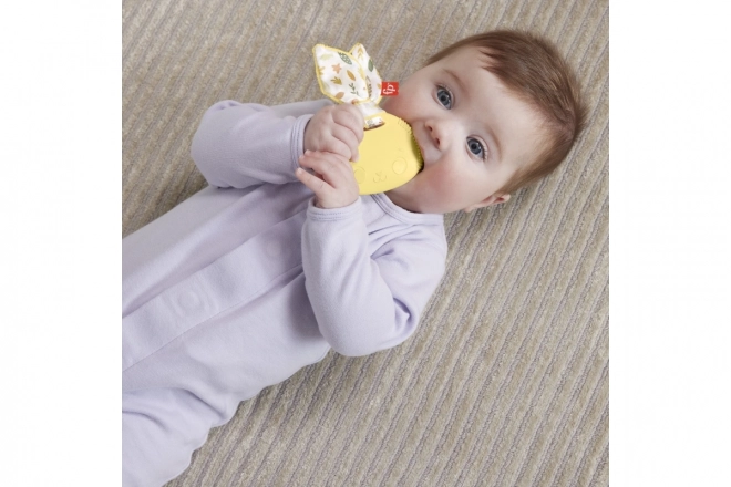 Fisher-Price sensory toys for babies