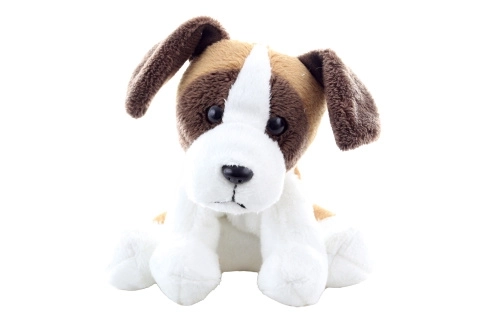 Pluchen hond Sint-Bernard