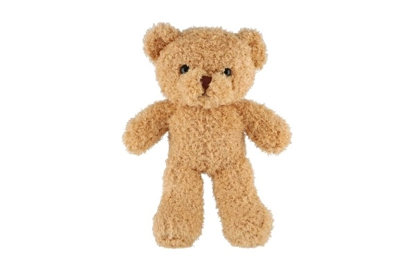 Beige Plush Teddy Bear 30 cm
