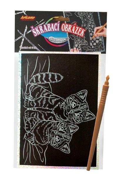 Holografisch Krabbelplaatje Auto