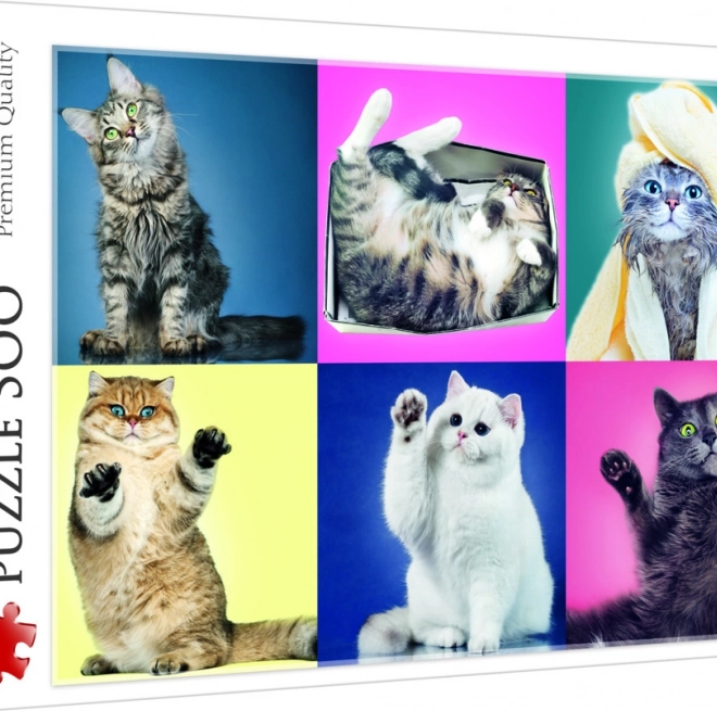 Puzzle 500 pièces Chatons Trefl