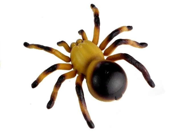 Vrolijke op afstand bestuurbare tarantula spin