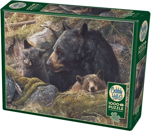 Image of bear family