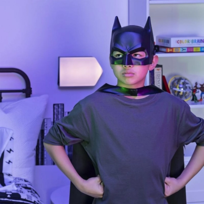 Masker superhelden DC