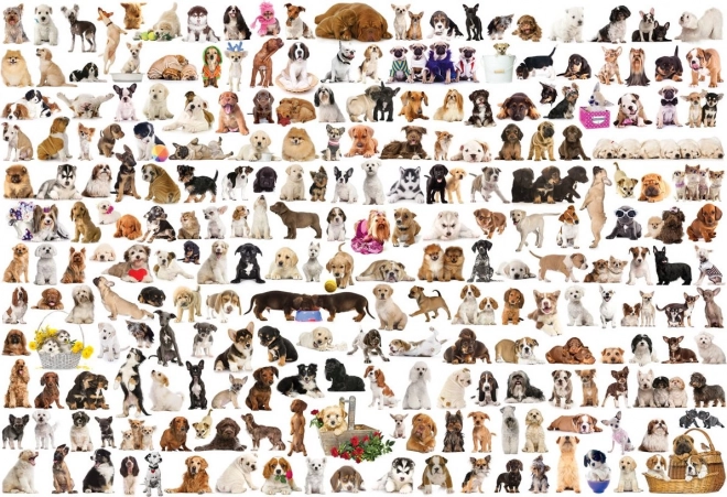 EUROGRAPHICS puzzle World of Dogs 2000 pieces