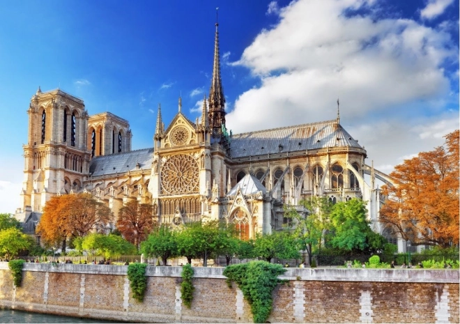 Puzzel Notre-Dame in Parijs 2000 stukjes BLUEBIRD