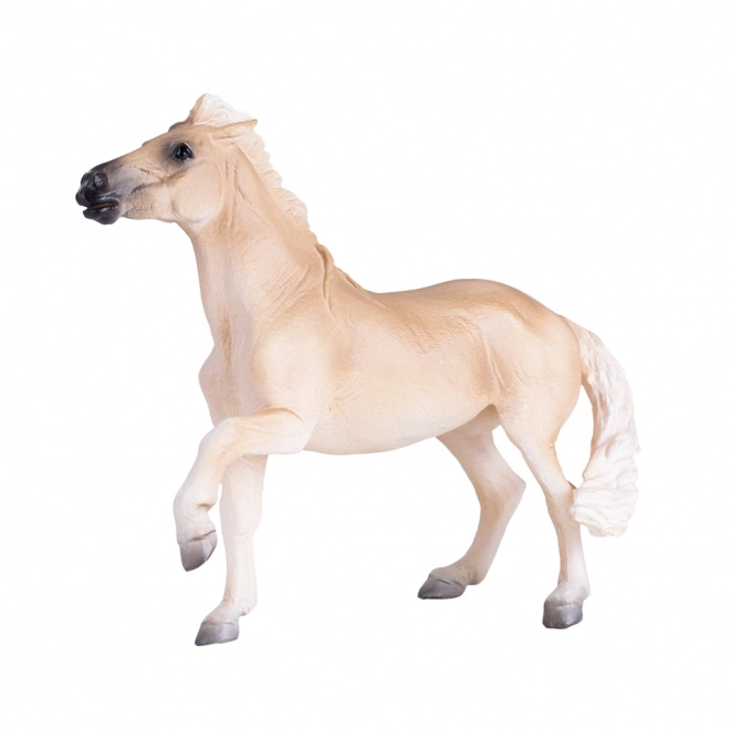 Mojo Brumby Mare