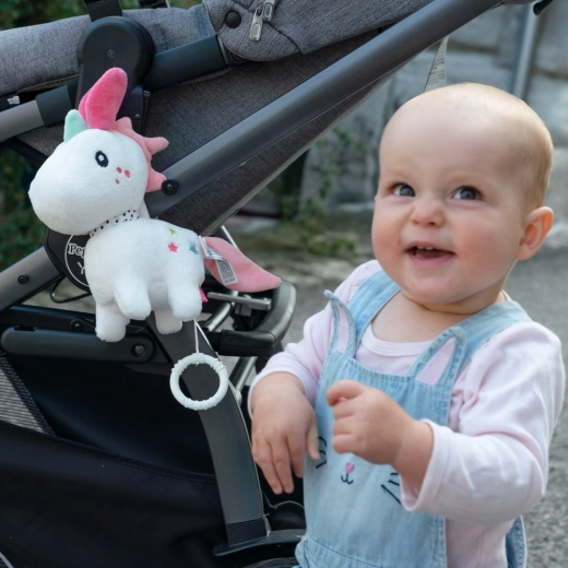 Eenvoudige bevestiging aan de kinderwagen