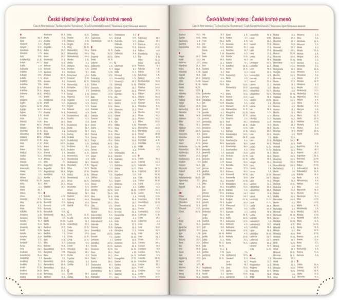 Zakagenda Twill 2025 zwart-goud