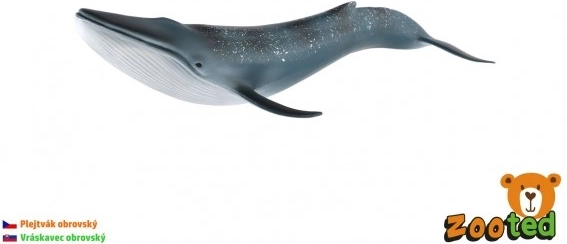 Blauwal-Modell 27 cm